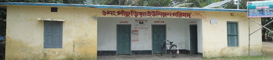 সহিংস রাজনীতি, আমার গ্রাম ও পাঁচুড়িয়া ইউনিয়ন ।