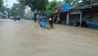 অর্ধকোটি মানুষ বন্যায় ক্ষতিগ্রস্ত, নিহত...